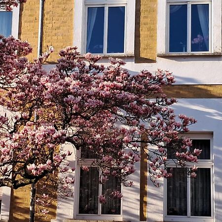 Ferienwohnung Rosi 나움부르크 외부 사진