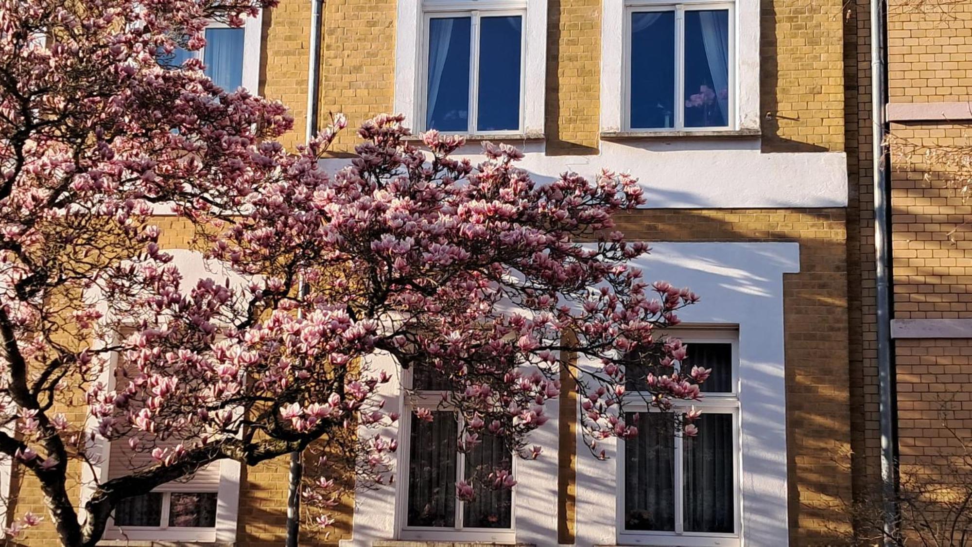 Ferienwohnung Rosi 나움부르크 외부 사진